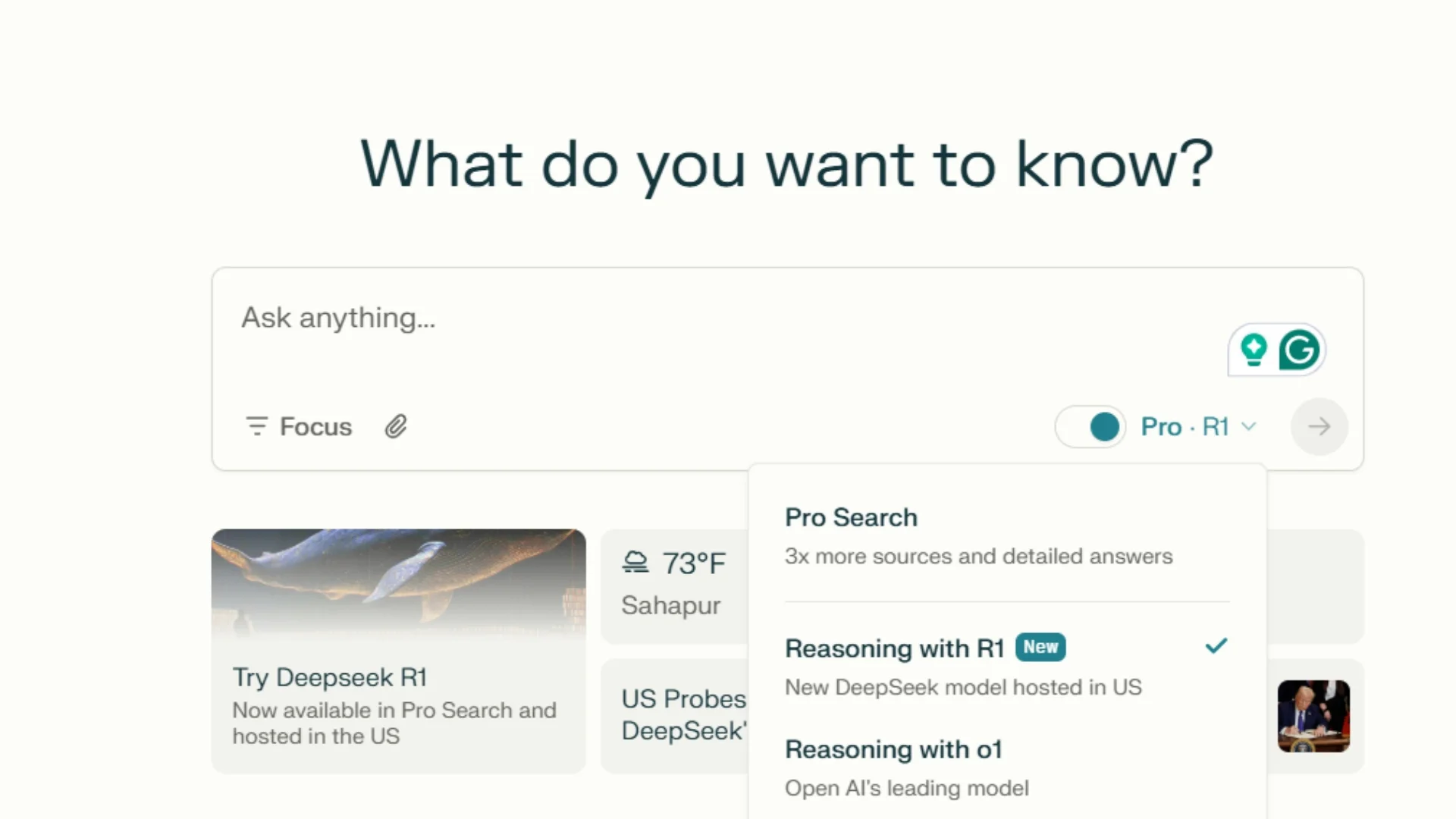 What do you want to know?